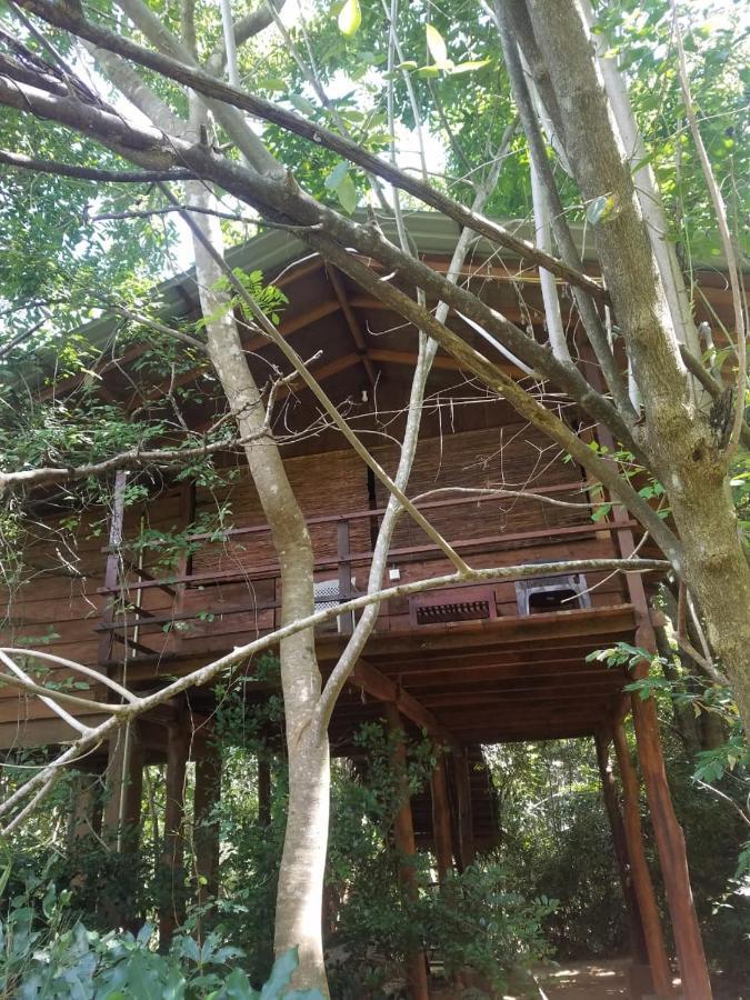The Inn On The Tree สิกิริยา ภายนอก รูปภาพ