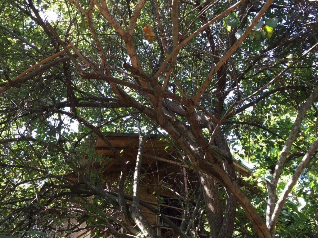 The Inn On The Tree สิกิริยา ภายนอก รูปภาพ