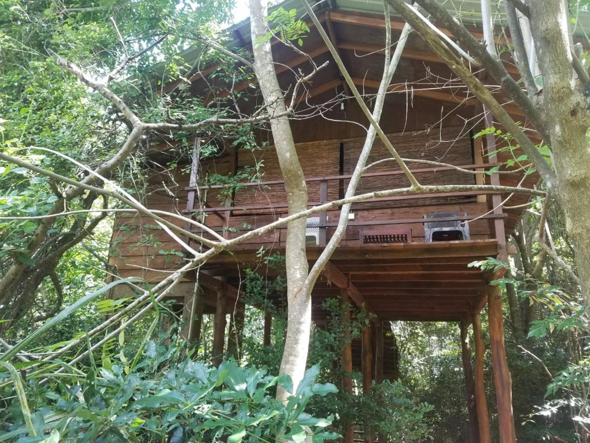 The Inn On The Tree สิกิริยา ภายนอก รูปภาพ