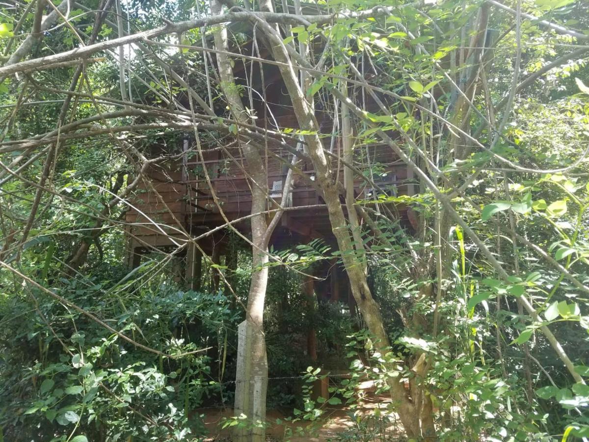 The Inn On The Tree สิกิริยา ภายนอก รูปภาพ