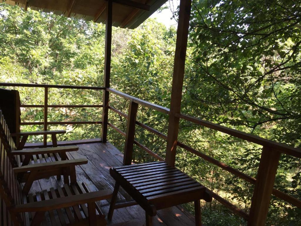 The Inn On The Tree สิกิริยา ภายนอก รูปภาพ