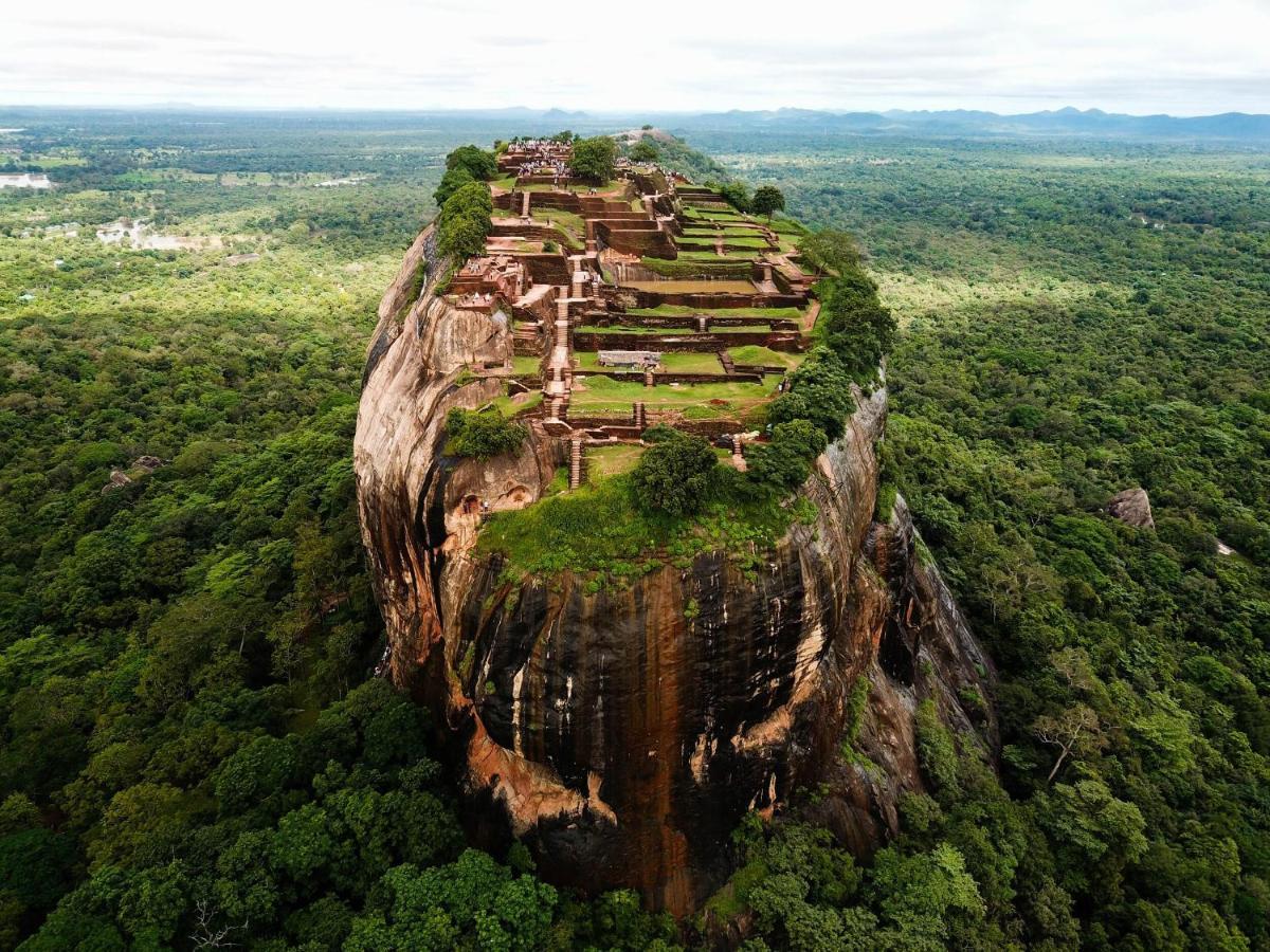 The Inn On The Tree สิกิริยา ภายนอก รูปภาพ