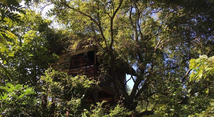 The Inn On The Tree สิกิริยา ภายนอก รูปภาพ